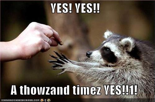 http://www.ianfernando.com/wp-content/uploads/2009/05/funny-pictures-racoon-yes.jpg